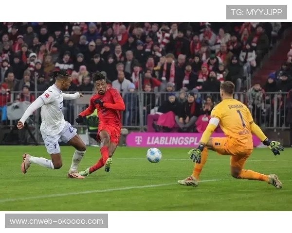 拜仁主场火力全开，沃尔夫斯堡客场难破魔咒